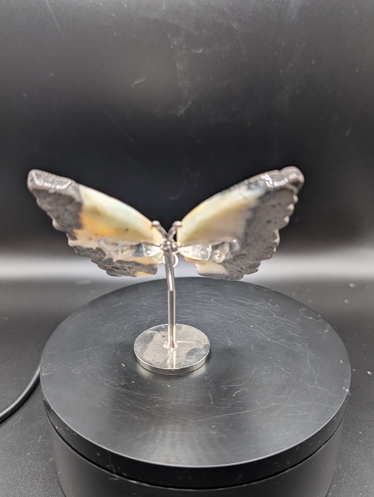 High-Contrast Dendritic Agate Butterfly on Stand – Black & White Crystal Carving