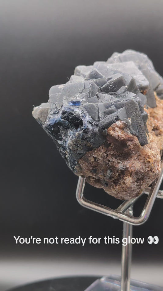 Dual UV Reactive Fluorite on Matrix – Red & Purple Glow – 313g Collector Specimen