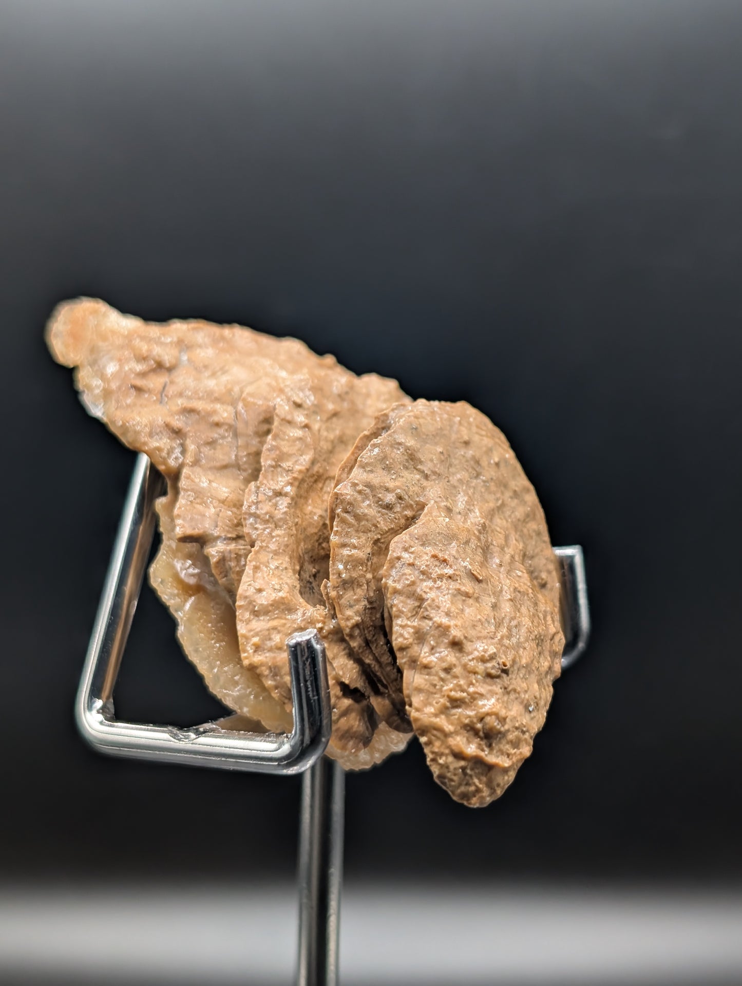 UV Reactive Mushroom Aragonite Cave Formation – Phosphorescent Mineral Specimen (52g)