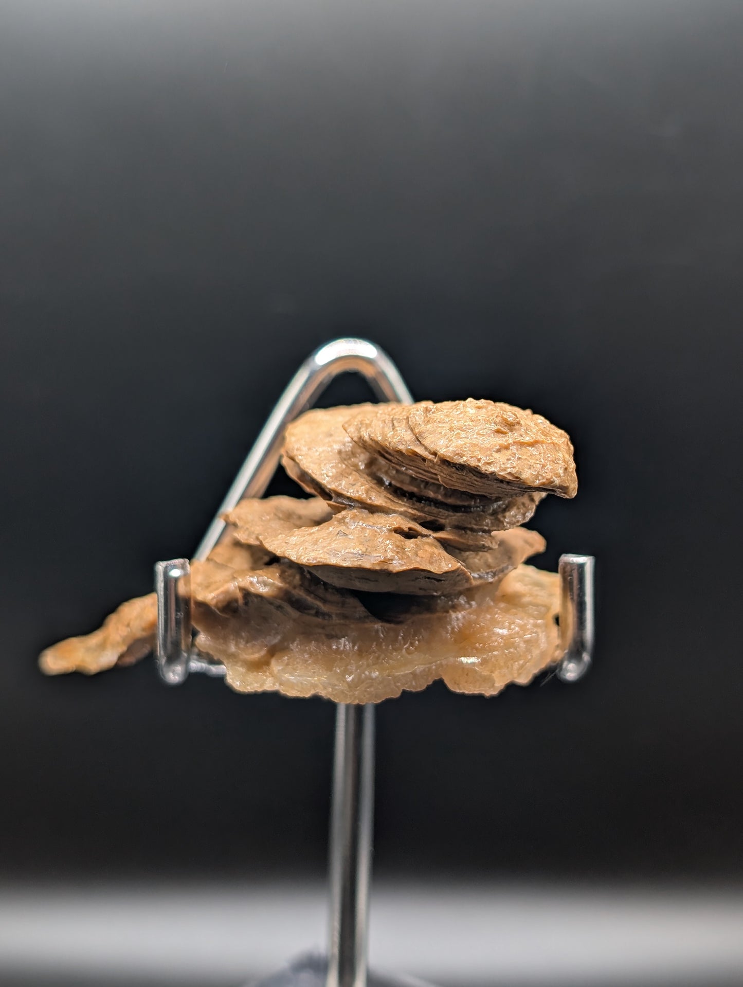 UV Reactive Mushroom Aragonite Cave Formation – Phosphorescent Mineral Specimen (52g)