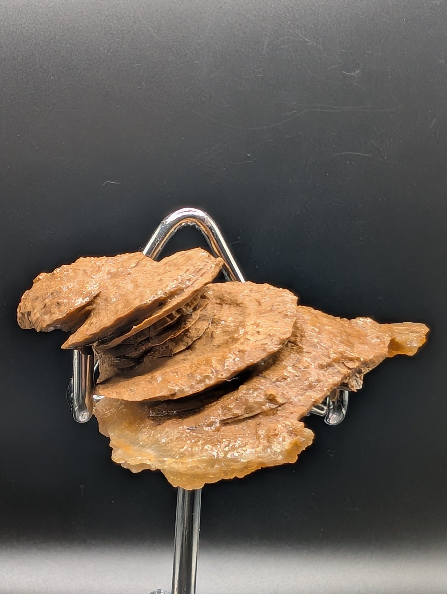 UV Reactive Mushroom Aragonite Cave Formation – Phosphorescent Mineral Specimen (52g)