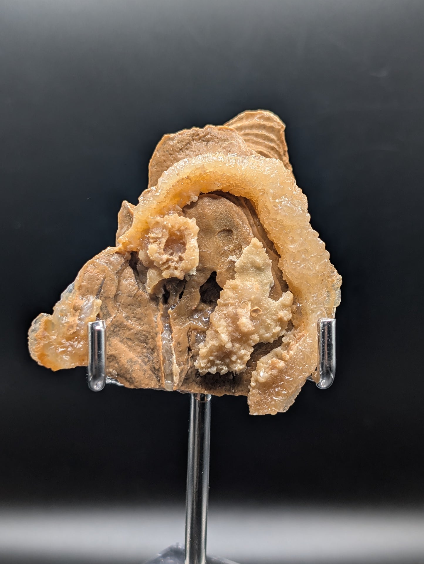 UV Reactive Mushroom Aragonite Cave Formation – Phosphorescent Mineral Specimen (52g)