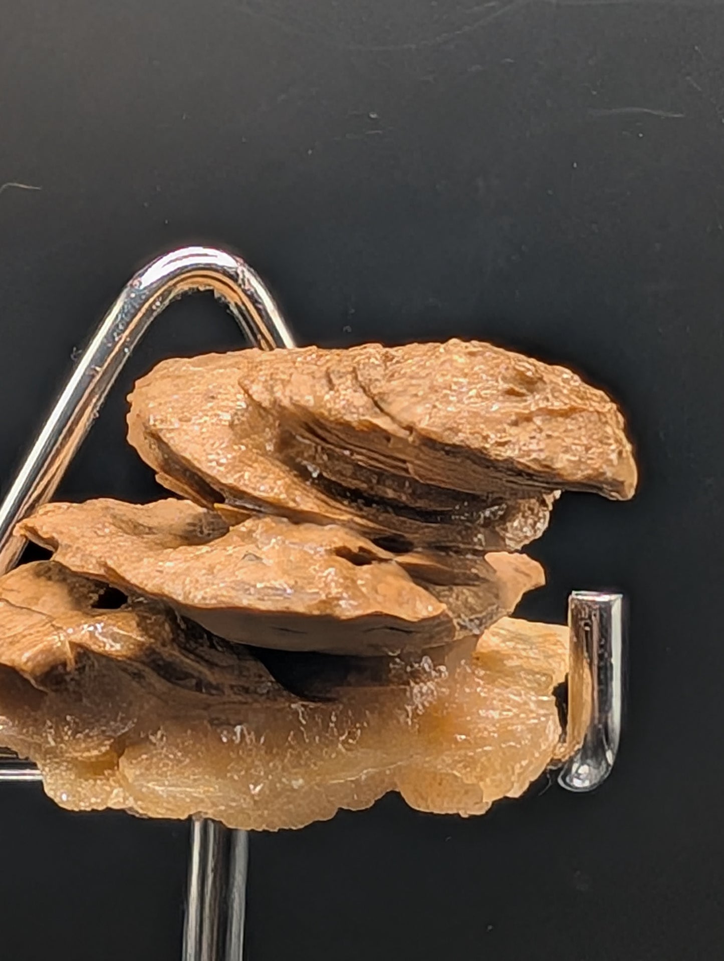 UV Reactive Mushroom Aragonite Cave Formation – Phosphorescent Mineral Specimen (52g)